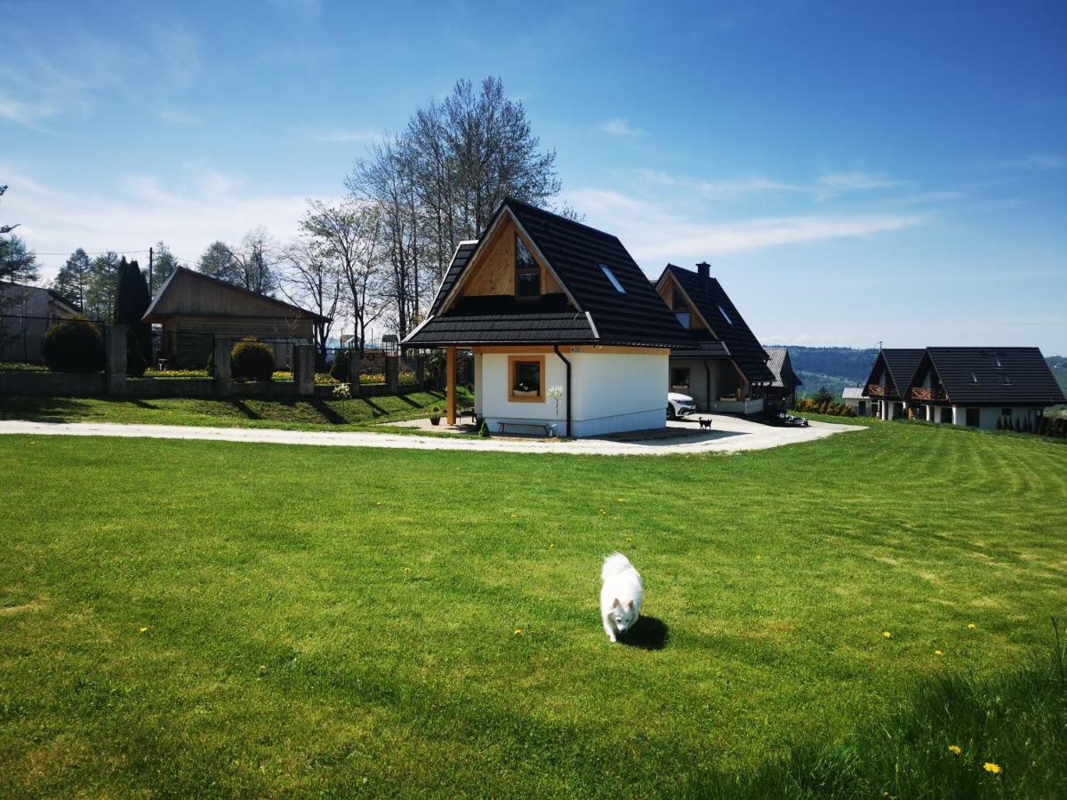 Villa Heidi Zakopane Exterior foto